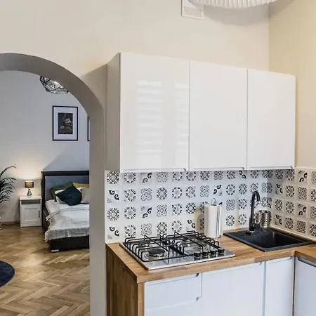 Wawel Castle - Gertrudy 19 Street 公寓 克拉科夫